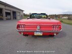 Thumbnail Photo 6 for 1967 Ford Mustang